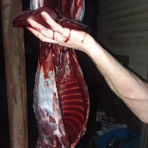 Meet your Posher, Jonathan